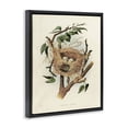 thumbnail image 3 of Stupell Industries Cottage Eggs in Birdnest Study Black Floating Frame Canvas Art, 17 x 21, by Tina Higgins Designs Inc., 3 of 8