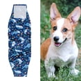 thumbnail image 4 of Visland Male Dog Belly Band Diapers Fastener Tape Adjustable High Absorbency Leakproof Breathable for Training Incontinence, 4 of 10