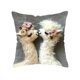 thumbnail image 2 of Cojín decorativo con estampado animal de 45 x 45 cm | Funda de poliéster suave para sofá, dormitorio y salón | Diseño multicolor, 2 of 6