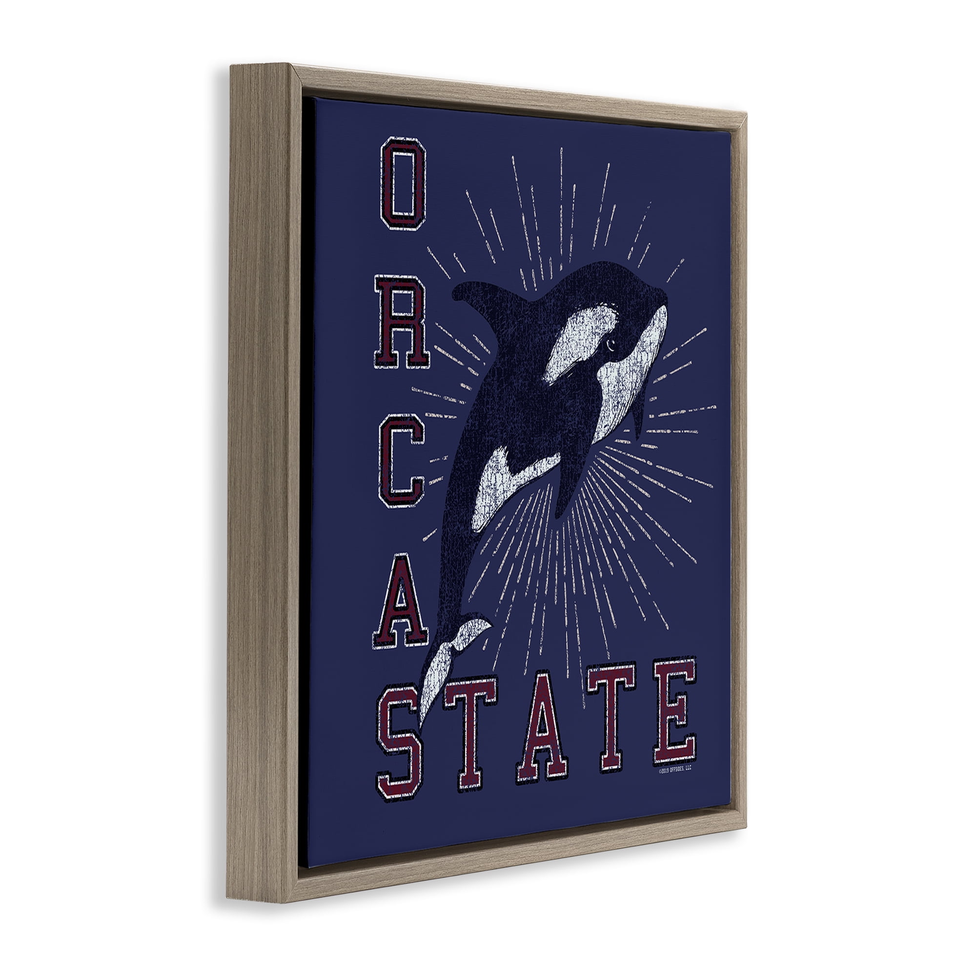 Stupell Industries Orca State Varsity Animals Painting Brown Floater Framed Canvas Art Print Wall Art, 25 x 25