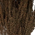 thumbnail image 3 of Vickerman 18-20" Brown Heather - 4-5 oz Bundle, Preserved, 3 of 5