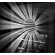 thumbnail image 3 of Altavoz Active Monitor Pioneer DJ VM-80 de 8 pulgadas negro, 3 of 9