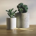 thumbnail image 4 of unbranded Pinzas Multifuncionales Para Plantas Con Rastrillo Herramienta Compacta De Para Bonsái, 4 of 8