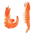 thumbnail image 1 of 2Pcs Imitation Modèles de Crevettes Rouges Enfants Figurines Éducatives Crevettes Modèles Cognitifs, 1 of 8