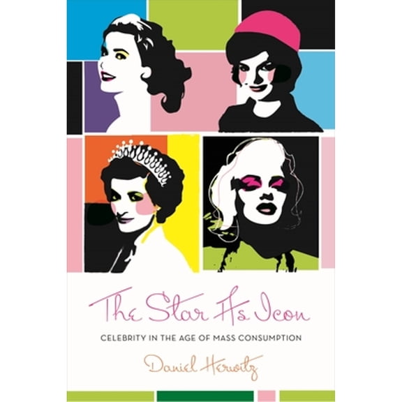 Pre-Owned The Star as Icon: Celebrity in the Age of Mass Consumption (Paperback) by Daniel Herwitz
