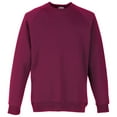 thumbnail image 1 of Fruit Of The Loom Chandail Molletonné à Manches Raglan pour Enfants, 1 of 3