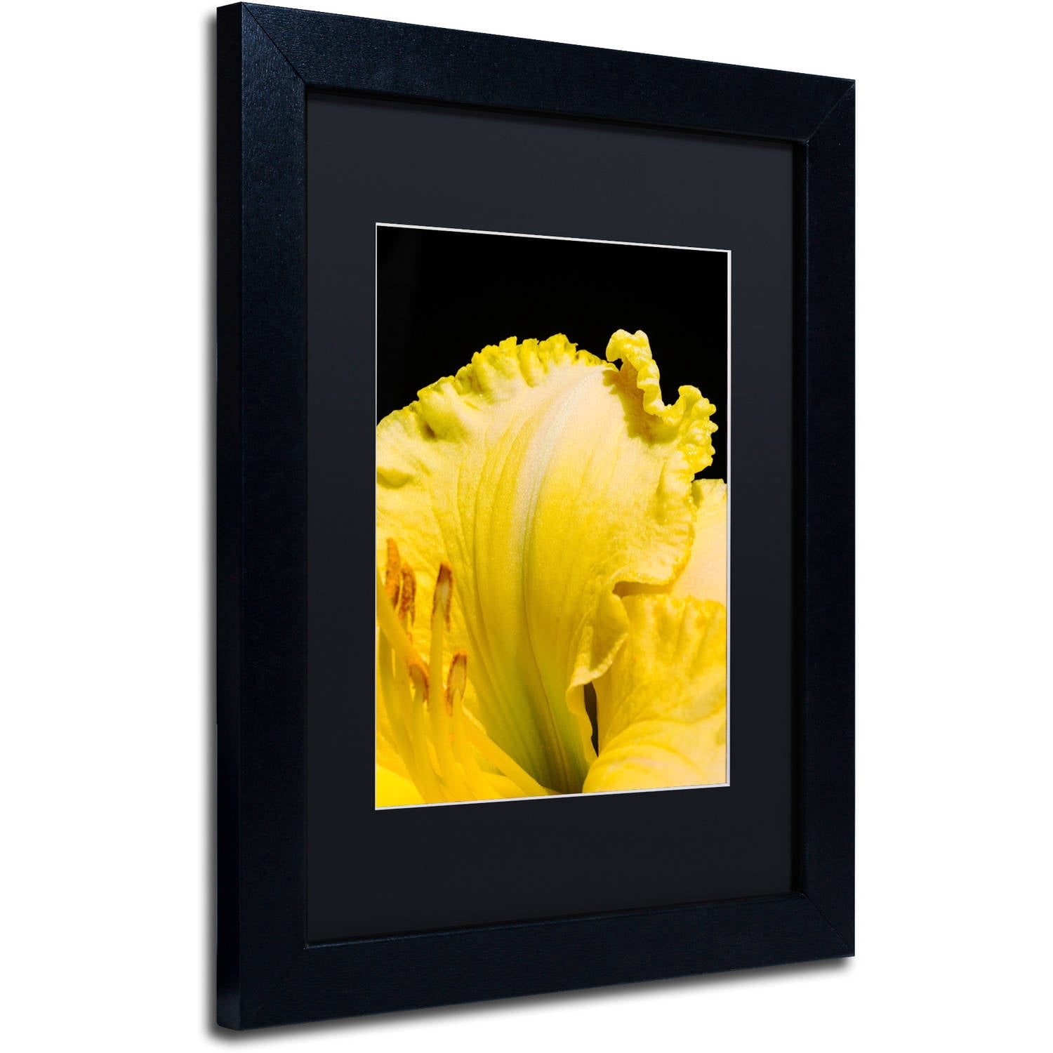 Trademark Fine Art "Day Lily Abstract" Canvas Art by Kurt Shaffer, Black Matte, Black Frame