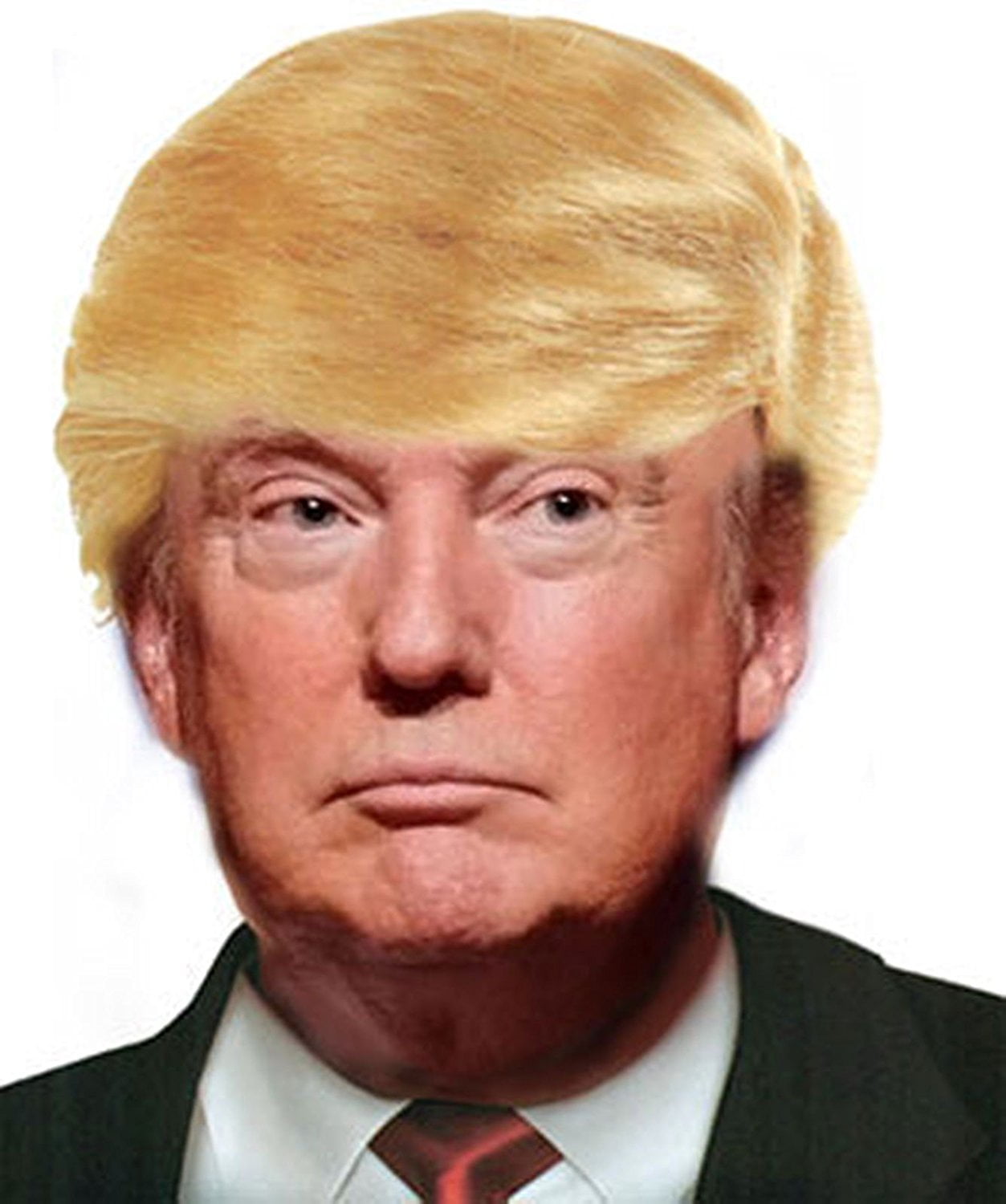 Donald Trump Wig Blonde Hair President Halloween Costume Cosplay Theme Party 