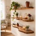 thumbnail image 4 of Wall Shelf, Floating Bookshelf with Lip, Handmade Using Premium Wood, Wall Mounted Storage Shelf for Living Room & Nursery, 4 of 6