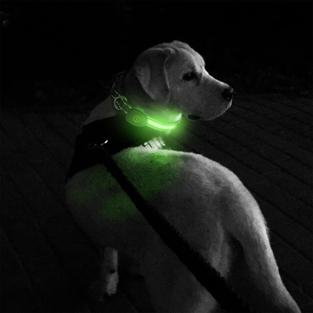 Kadyn LED Light Up Dog Collar, Dog Collar, Glowing Night Walking Light Dog Collar for Pet Night Walking – Rechargeable Dog Necklace– Weatherproof Puppy Collar, L Red Kadyn LED Light Up Dog Collar, Dog Collar, Glowing Night Walking Light Dog Collar for Pet Night Walking – Rechargeable Dog Necklace– Weatherproof Puppy Collar, L Red