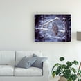 thumbnail image 3 of Trademark Fine Art 'Owl in the Snow II' Canvas Art by PHBurchett, 3 of 3