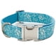 thumbnail image 1 of Collar ajustable premium para perros Aiminto con acolchado de neopreno y poliéster resistente., 1 of 5