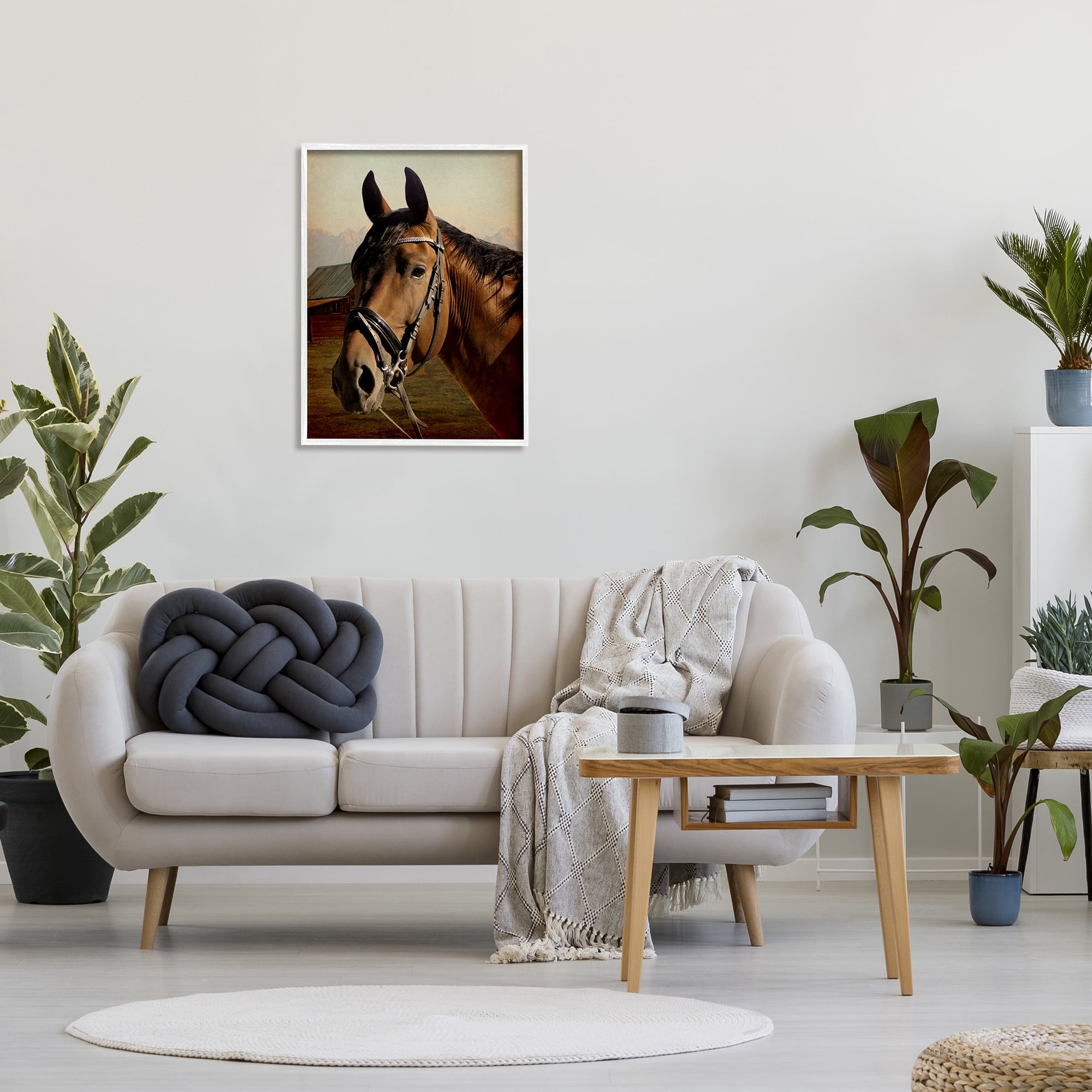 Stupell Industries Brown Horse Portrait Animals & Insects Photography White Framed Art Print Wall Art, 24 x 30