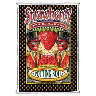 ZanQee Strawberry Fields Potting Soil, 1.5 cu.'