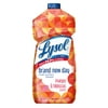 Lysol Multi-Surface Cleaner, Mango and Hibiscus, Brand New Day, 48 Ounce