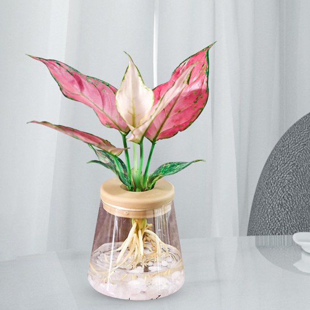 Florero nórdico Pequeña Sin suelo Contenedor de pntación Flor ra el dormitorio Mesa Cen Decoración de oficina en 9cmx10cm Colco floreros decorativos