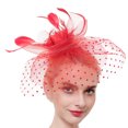 thumbnail image 1 of Coofit Fascinator Hat Vintage Exquisite Mesh Flower Veil Fascinator Wedding Fascinator, 1 of 7