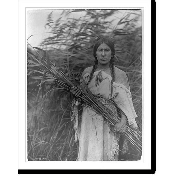 Historic Print, The rush gatherer, 16" x 20"