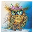 thumbnail image 4 of GUOOL DIY 5D Diamond Embroidery Painting Cross Stitch Wall Hanging Decor Color Owl, 4 of 6