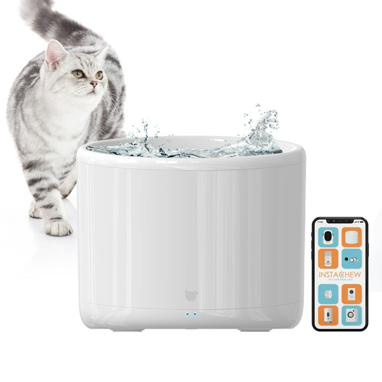 Smart shop cat fountain