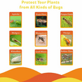 thumbnail image 4 of Gnat Extermination Solution, Non-Toxic and Odorless Fungus Gnat Traps for House Indoor Dual-Sided Fruit Fly Traps for Indoors Plant, Yellow Sticky Traps for Fungus Gnat Killer, 4 of 5