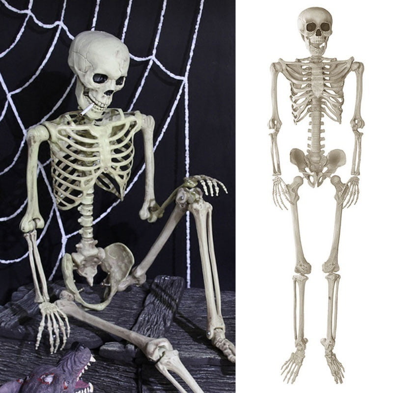 Due 1/12 SCALA SCHELETRO UMANO Figure in plastica Halloween Decor 6" SKULL & BONES 