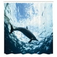 thumbnail image 3 of Ambesonne Animal Print Shower Curtain, Swimming Dolphin, 69"Wx84"L, Blue Grey, 3 of 5