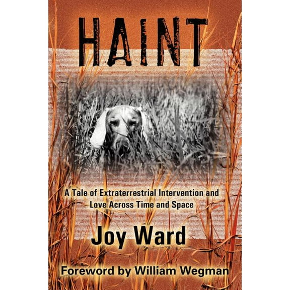 Haint : A Tale of Extraterrestrial Intervention and Love Across Time and Space (Paperback)