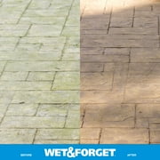Wet & Forget Outdoor Moss, Mold, Mildew, and Algae Stain Remover Concentrate, 128 oz