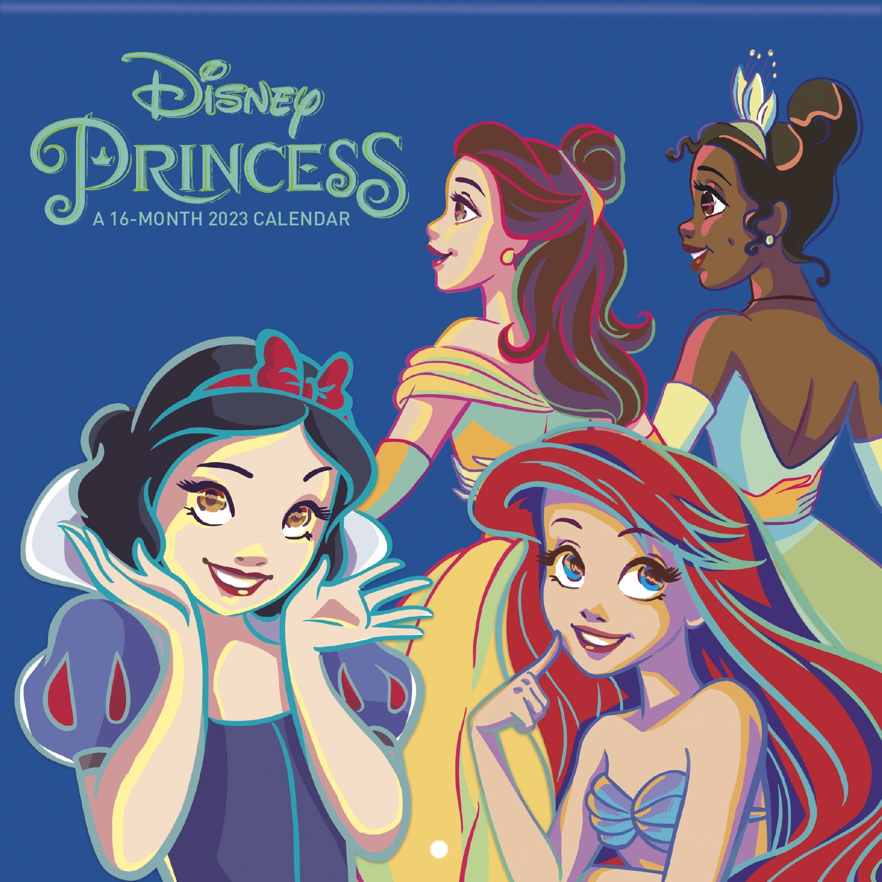 Trends International 2023 Disney Princess Mini Wall Calendar