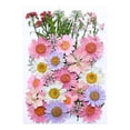 thumbnail image 2 of Birdeem Dried and Embossed Flowers for Resin Kit Candles and Crafts, 2 of 5