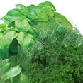 thumbnail image 3 of AeroGarden Gourmet Herb Seed Pod Kit (3-pod), 3 of 5