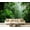 Color 3, variant on Wall Mural Peel and Stick Peacock Perched Branch Blooming Flowers Vibrant Sunset Chinoiserie Self-Adhesive Wallpaper Removable Wall Decal Wall Sticker Home Decor for Living Room Bedroom 100"x144"