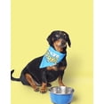 thumbnail image 3 of Pet Set Go Bandana pour Chien Bleu Always Bhooka - Grand, 3 of 5