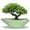 Green, variant on stillaflora 12 inch Large Indoor Ceramic Flower Pot -Bonsai Orchid Planter Indoor Plants Outdoor Decorative,for Balcony Herbs and Decor, Garden,Gray