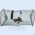 thumbnail image 2 of 3 Pcs Fishing Shrimp Trap Minnow Cast Net Fishnets Lures Crayfish Foldable Crab Traps Crawfish, 2 of 6
