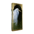 thumbnail image 2 of Trademark Fine Art 'Gold Frame Egret' Canvas Art by Michael Jackson, 2 of 3