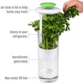 thumbnail image 4 of Conservador de Hierbas Vegetales, Cilantro, Caja de Mantenimiento Fresco, Contenedor de Almacenamiento de Hierbas Transpirable, 4 of 5