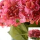thumbnail image 3 of Ramo de 5 cabezas de hortensia, hermoso ramo de flores artificiales, decoración de boda para el hogar (rosa) Xemadio SNFLD1702, 3 of 7