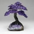 Large - Amethyst Clustered Gemstone Tree on Amethyst Matrix (The ...