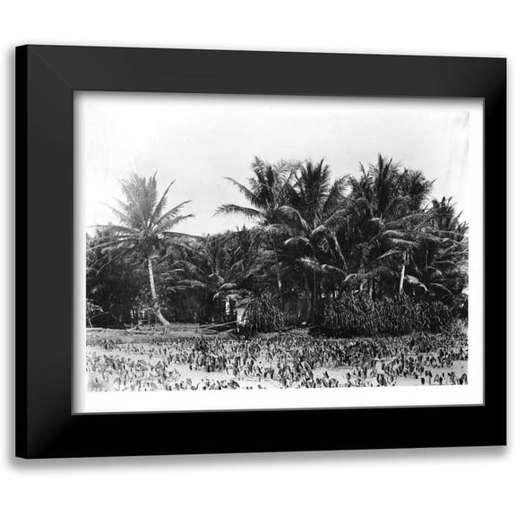 Anonymous 14x12 Black Modern Framed Museum Art Print Titled - Taro fields, Date Palms, Hawaii 1907