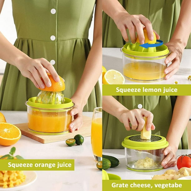 Sears juicer 2024