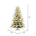 thumbnail image 2 of Vickerman 6.5' x 57" Flocked Kamas Fraser Artificial Christmas Tree, Multi-color Dura-Lit® LED Mini Lights, 2 of 2