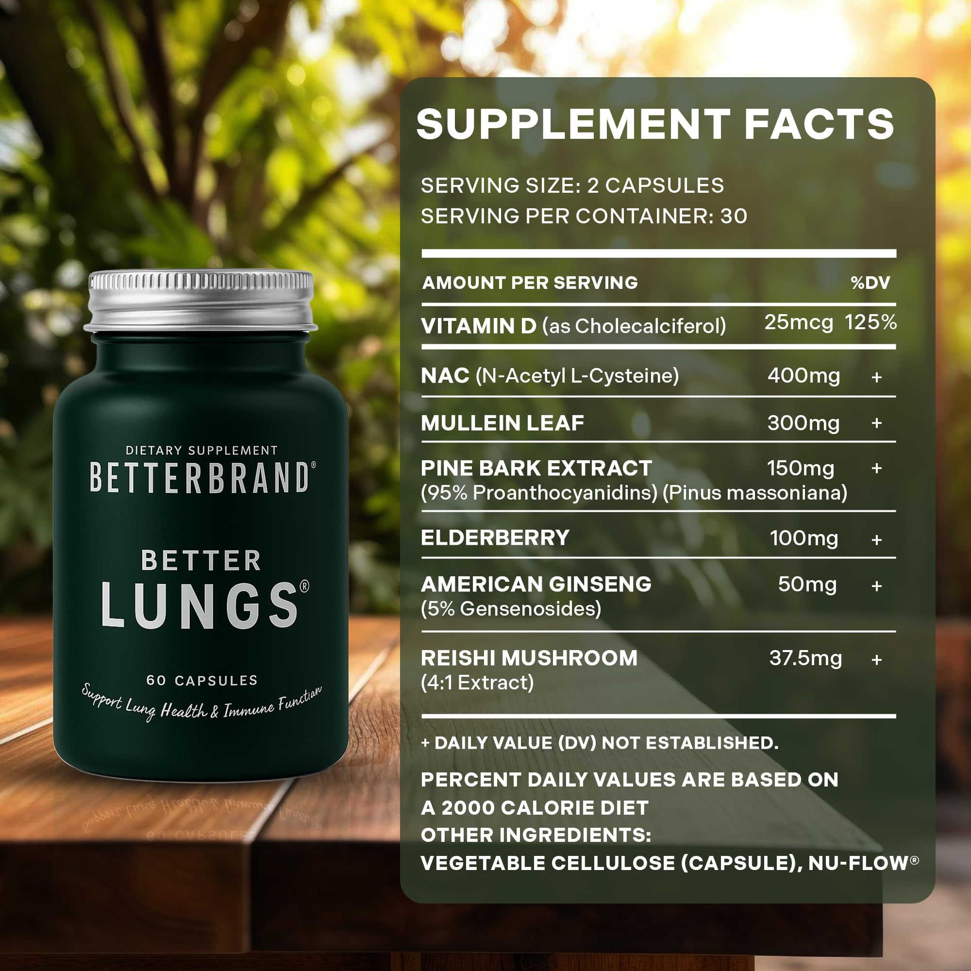 Betterbrand BetterLungs Lung Support Supplement with NAC, Mullein Leaf for Smokers, Respiratory Health Formula with Elderberry, Vitamin D, Ginseng, Reishi Mushroom - 60 Capsules - Pack of 3