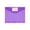 Purple, variant on Binder Pocket, Plastic Envelopes Binder Folders, 12x9 inch Expandable File Folder Pouch with Label Pocket & Hook and Loop, Document Organizer, Office Supplies, 1 Pc,Blue