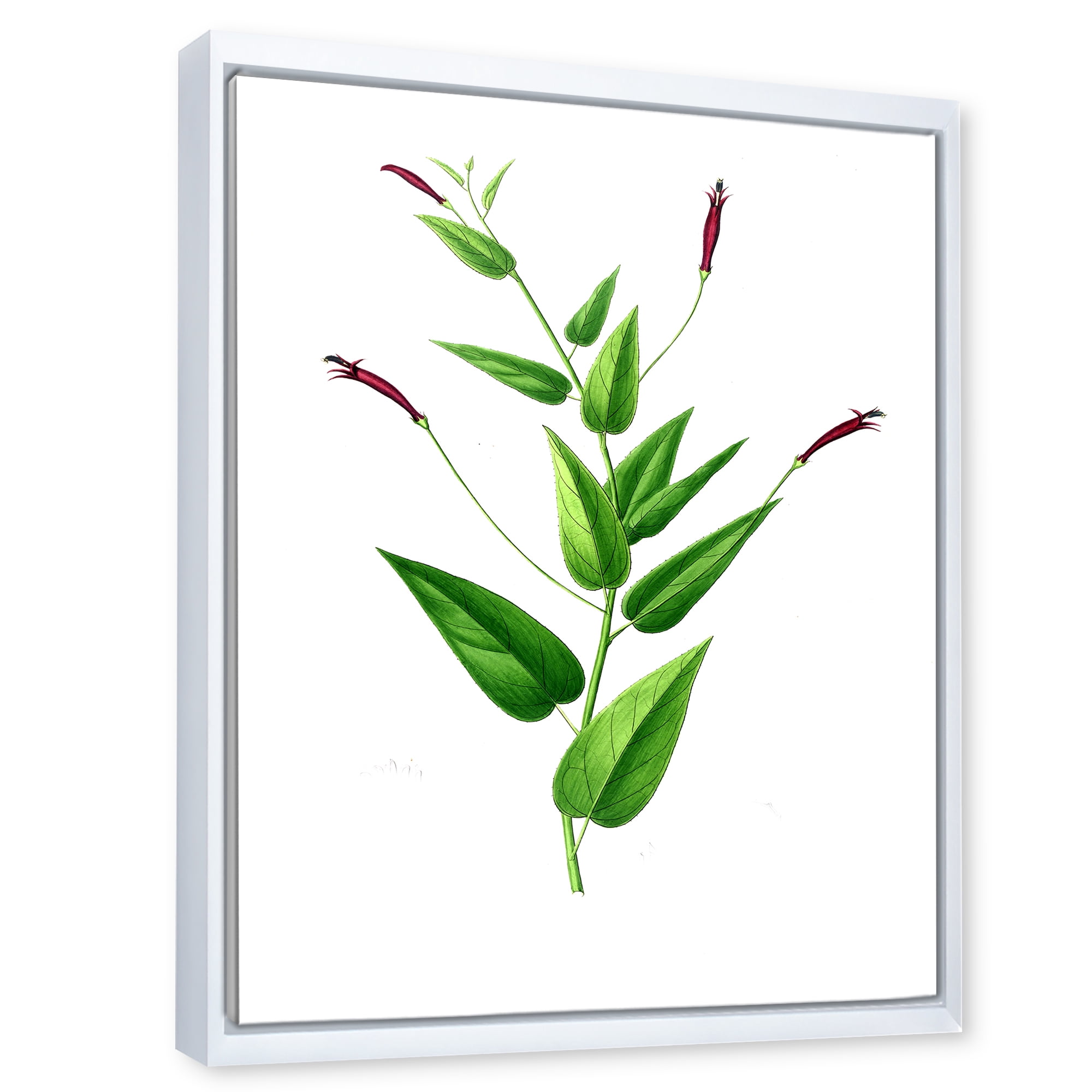 Designart 'Ancient London Plants VII' Traditional Framed Canvas Wall Art Print