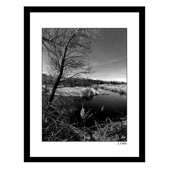 OWENS RIVER Framed Printed Photograph