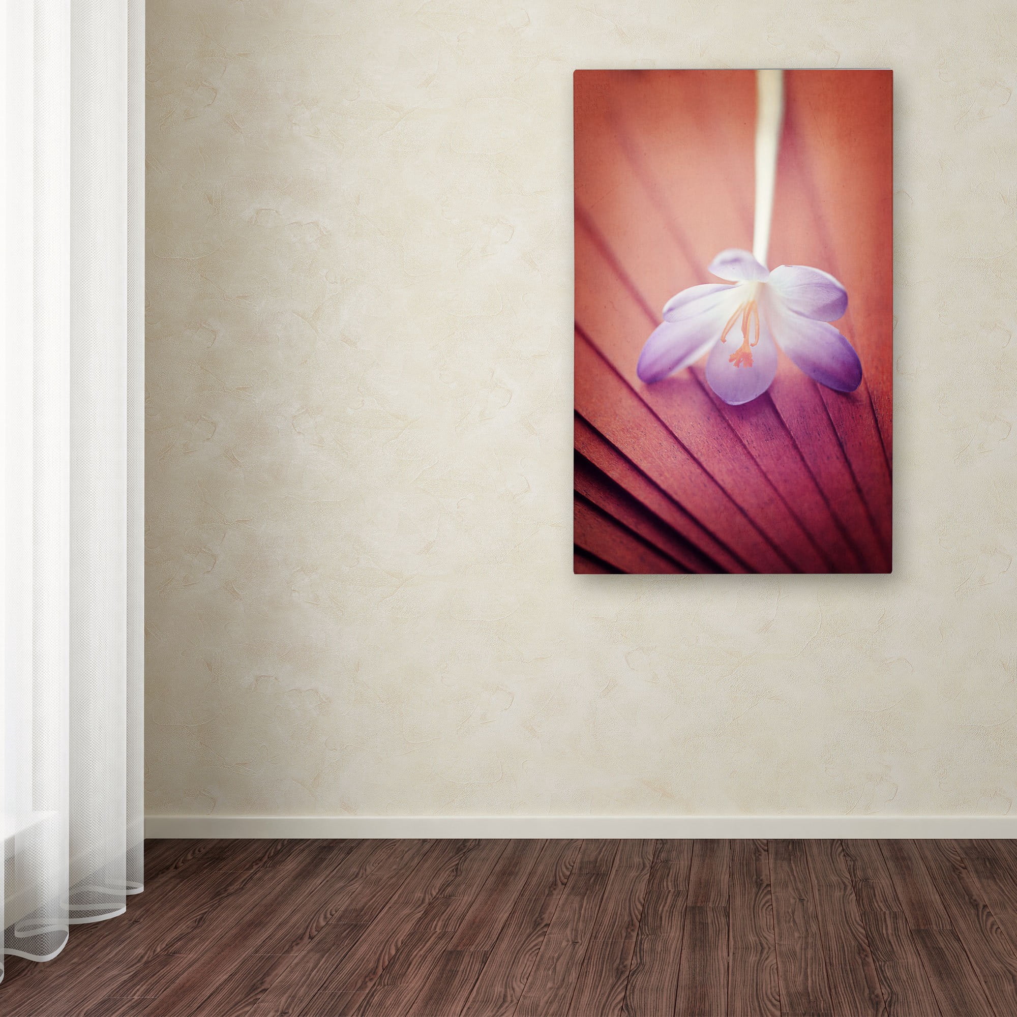 Trademark Fine Art "Access to Desires" Canvas Art by Philippe Sainte-Laudy