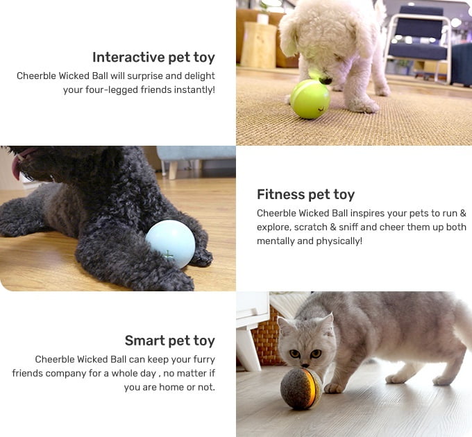 pet activation ball