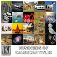 thumbnail image 2 of MegaCalendars "Dear Friend" Greeting Card, Heartfelt Friendship and Birthday Card, 5.3 x 8 Inch, Made in USA, 2 of 7